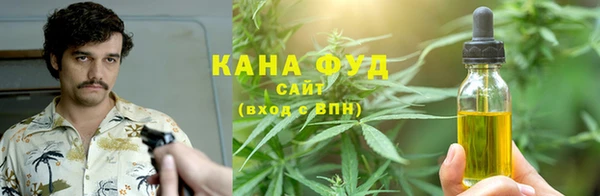 мдпв Надым