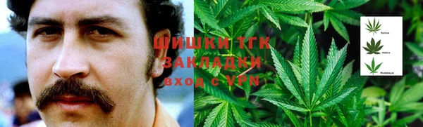 мдпв Надым