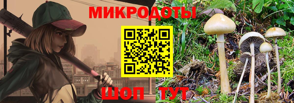 Псилоцибиновые грибы прущие грибы Аша