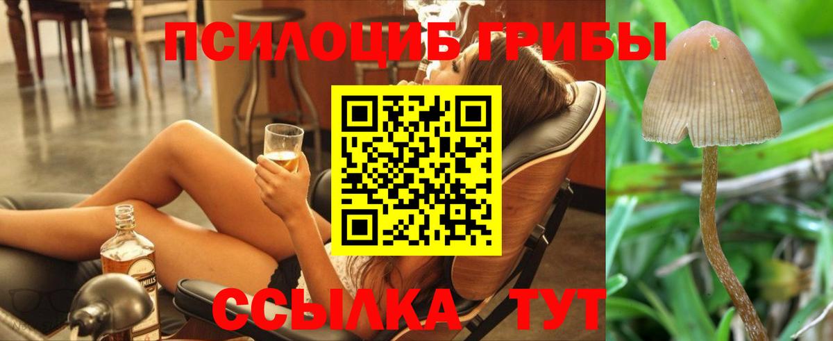Псилоцибиновые грибы Psilocybe  Аша  Псилоцибиновые грибы MAGIC MUSHROOMS 