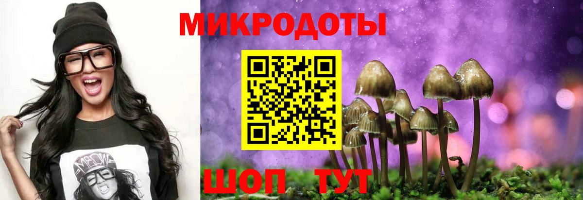 Аша  где купить   Вход с VPN  Псилоцибиновые грибы MAGIC MUSHROOMS 