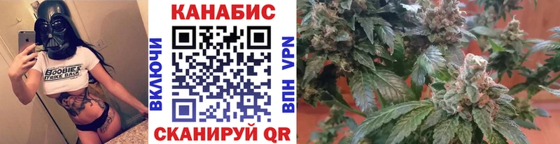 Марихуана гибрид Аша